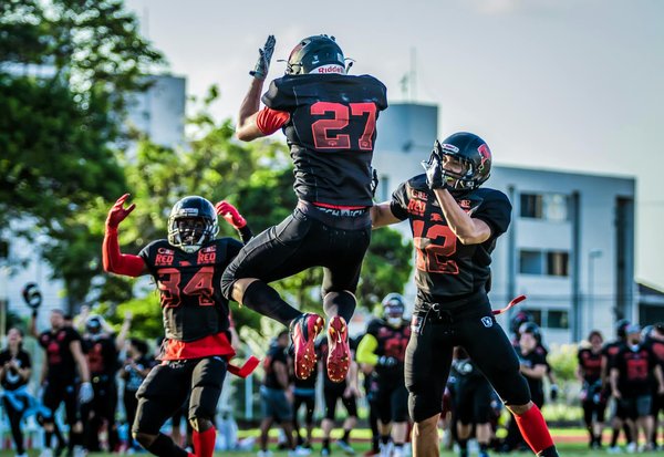 How Does Pet Ownership Enhance Our Lives in the UK?